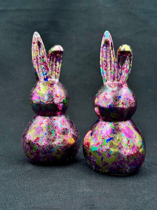 2 Sassy og fargerike kaniner