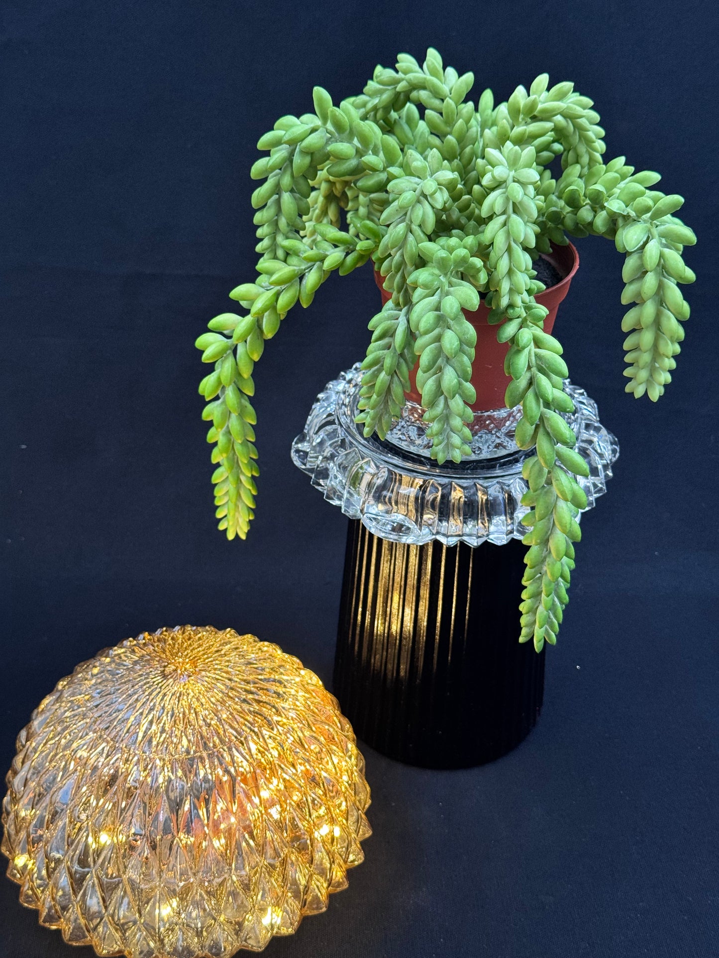 Vintage Diamantlampe med svart fot