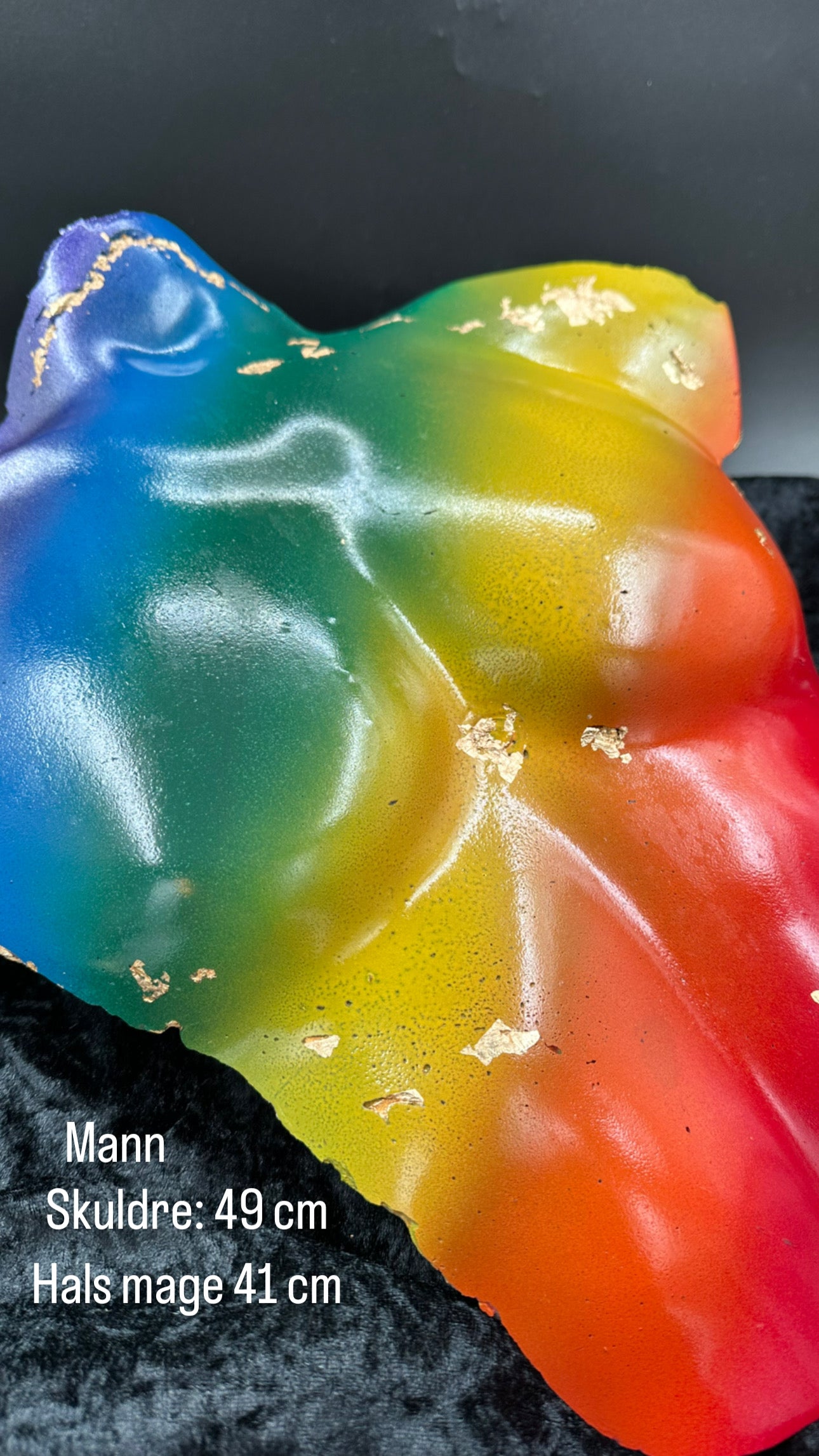 Torso MANN i betong i PRIDE farger🏳️🌈